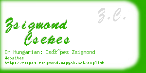 zsigmond csepes business card